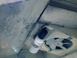 Fan Cleaning