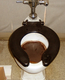 Toilet Cleaning