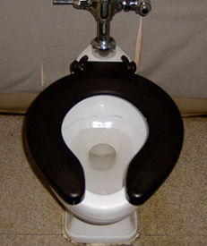 Cleaning Toilet